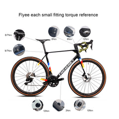 ICAN UCI ROAD BIKE DISC FRAME FLYEE Torque