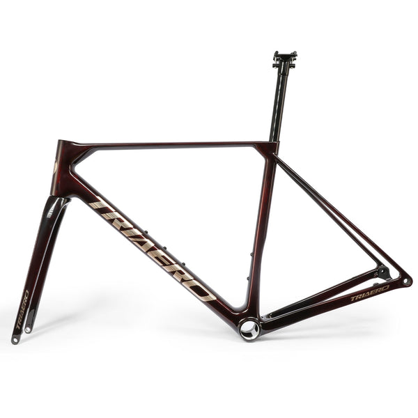 ICAN Flyee road bike disc frame