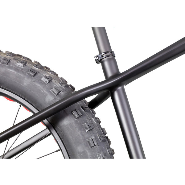 26er Carbon Hardtail Fat Bike SN02
