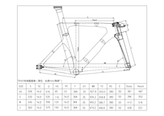 Carbon Track Bike Frameset TRA01